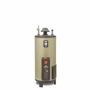 Golden Fuji Gas + Electric Water Heater GF-20GE 20Gallons